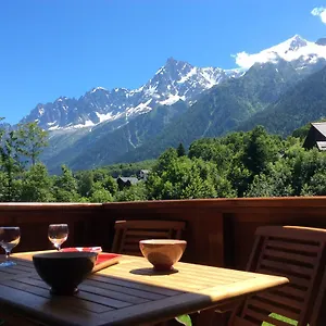 Facing The Chamonix Needles France